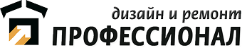 Профессионал
